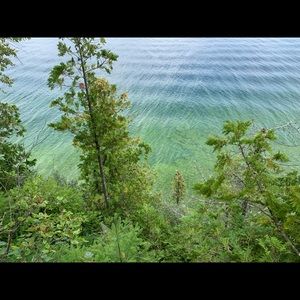 Meet your Posher, Benson